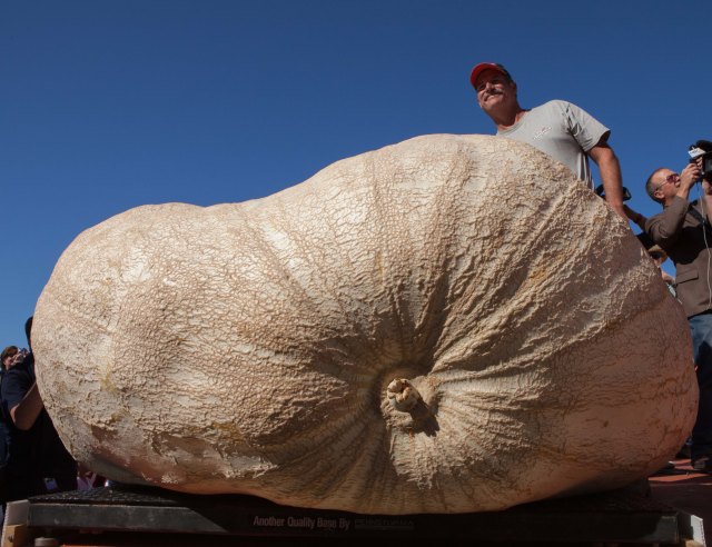 John Hawkley posa junto a su calabazota (Foto AP)