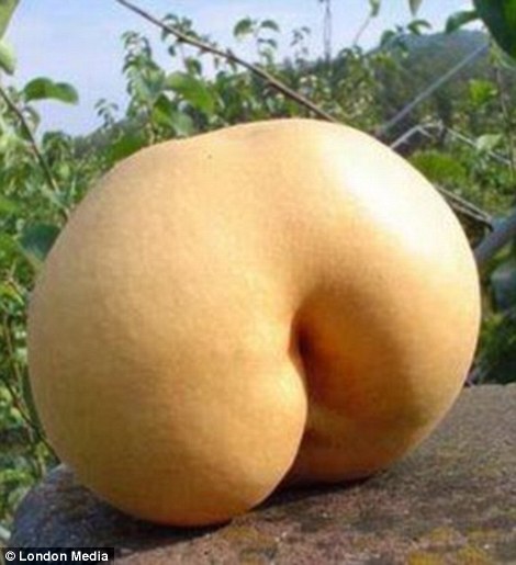 2412041100000578-2875564-Another_piece_of_fruit_that_looks_like_Kardashian_s_bottom-a-5_1418718551851