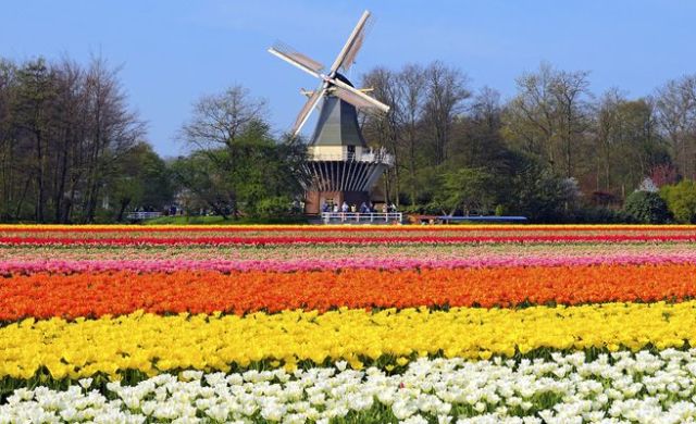 Jardines de Keukenhof 