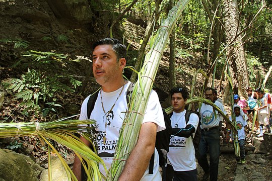 bajada de palmeros 2