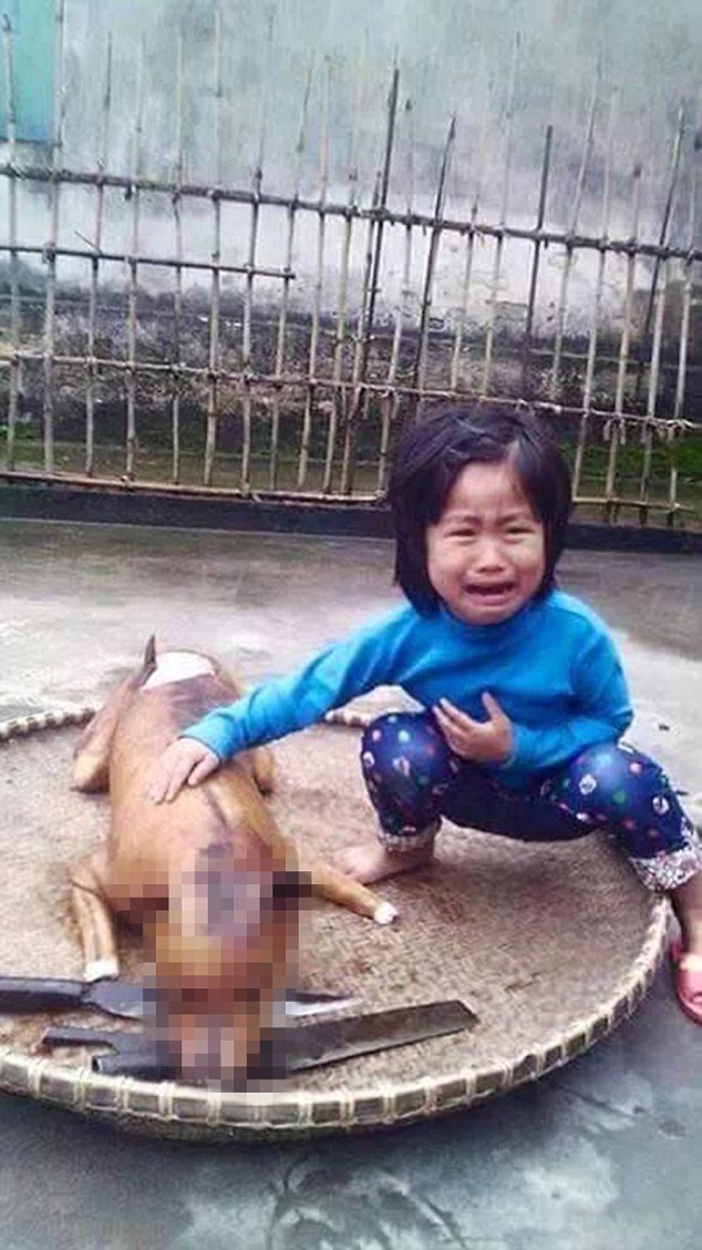 Little Girl Spots Her Missing Dog Roasted
