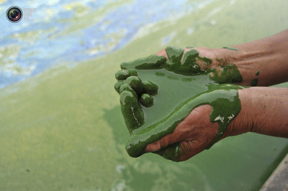 Prepara el estómago y observa las aguas contaminadas de China (FOTOS)