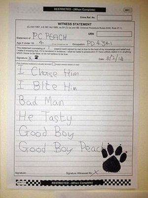 Obligan a un perro policía a escribir y firmar el informe de un arresto