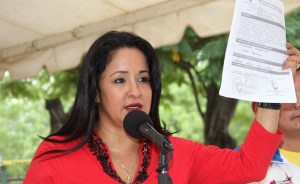 Stella Lugo es la nueva ministra del Territorio Insular Francisco de Miranda