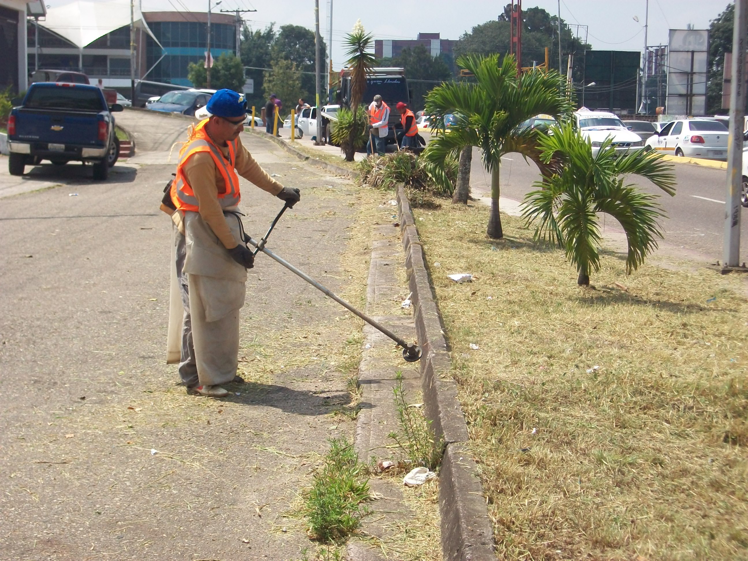 Táchira Potencia embellece áreas de San Cristóbal