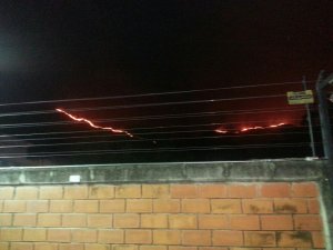 Reportan incendio forestal en sector La Placera de Maracay (FOTO)