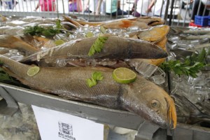 Alcaldía de Maracaibo ofreció 120 toneladas de alimentos durante 4 días (Fotos)
