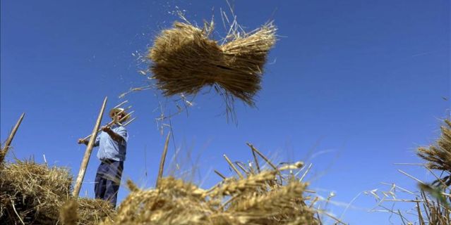 La genética será crucial para la supervivencia de la humanidad, según la FAO