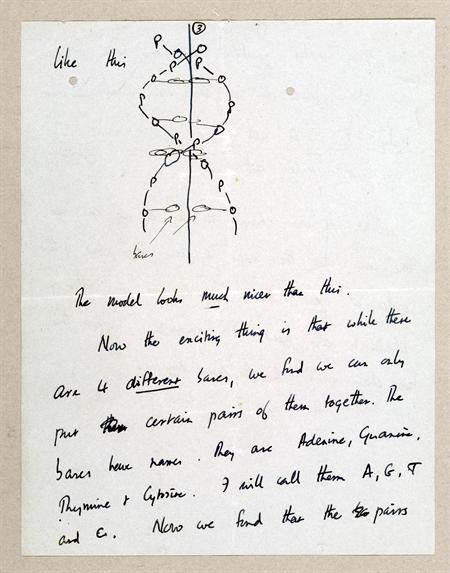 Subastan carta sobre el descubrimiento del ADN (Fotos)