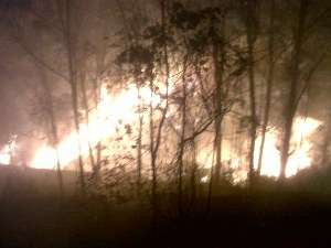 Lira: Estamos haciendo un esfuerzo por controlar el incendio en Macarao