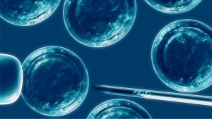 Luz verde en Japón para los primeros ensayos con células madre iPS