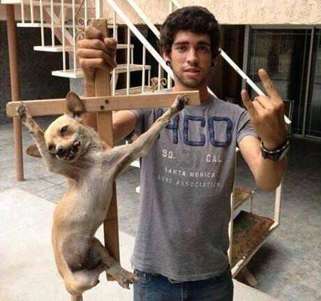 Crucifixión de perro genera revuelo en Facebook (Imagen fuerte)