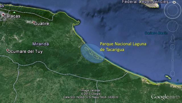 En peligro la Laguna de Tacarigua (videodenuncia)