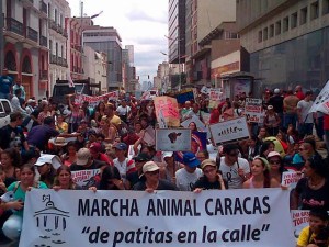 Así fue la marcha en Caracas contra el maltrato animal (Fotos)