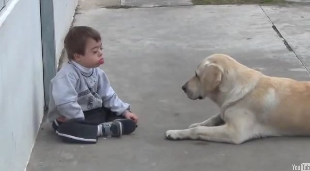 Amistad de un niño con síndrome de Down y su perro conmueven las redes sociales (Video)