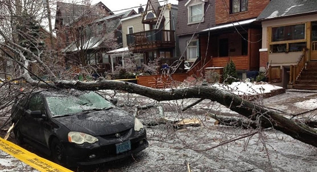 Más de 200 mil personas sin electricidad en Toronto tras tormenta de hielo