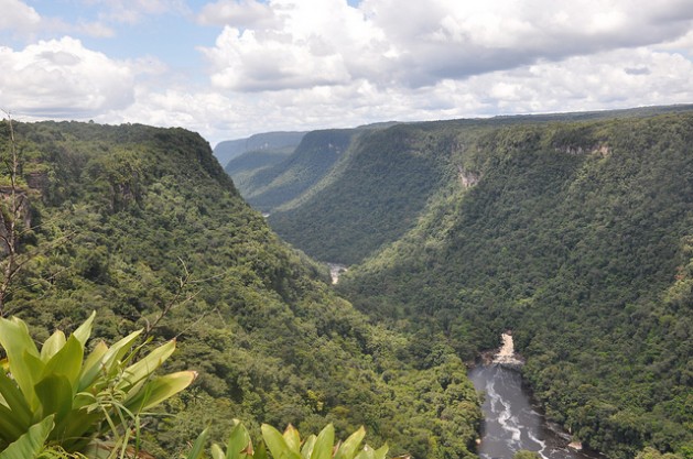 Hallan cadáveres de dos tripulantes de avioneta que se estrelló en Guyana