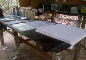 Desmantelan cinco laboratorios dedicados al tráfico de drogas en el Zulia (Fotos)