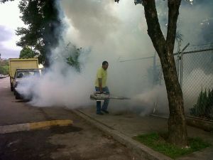 Realizan plan especial de fumigación contra el Dengue y el Chikungunya