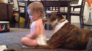 El perro que ofrece un “baño canino” a un bebé (Video)