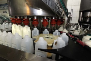 Crítica la situación para los productores de leche en Táchira