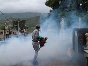 Plan contra el dengue y el chikungunya  ha eliminado 30 mil criaderos en Táchira