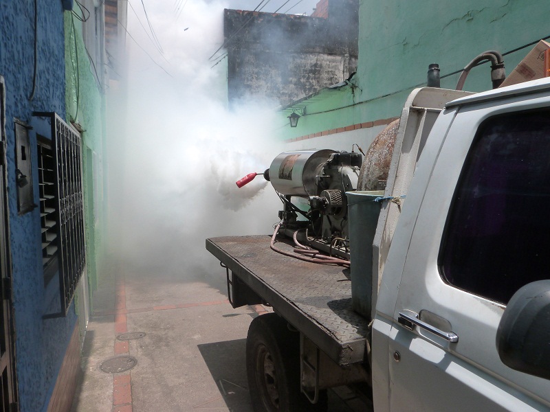 Cerca de 5 mil criaderos potenciales fueron eliminados en 7 municipios del Táchira