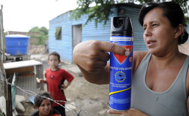 Azotados por el dengue y el chikunguya en Lara