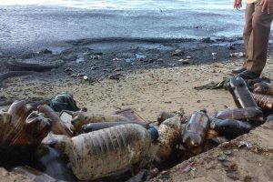 Difunden imágenes de manchas de petróleo en orillas del Lago de Maracaibo