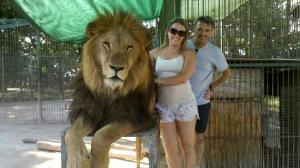 Zoológico deja que visitantes entren a las jaulas de los leones (WTF)