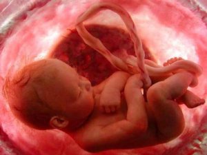 La “moda” de comerse la placenta tras el parto no tiene beneficios probados
