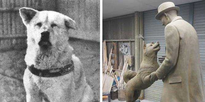 Hachiko, el perro más leal del mundo, se junta con su dueño