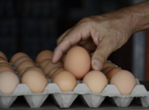 Solo queda mes y medio de producción de huevos