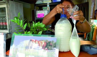 En las bodegas de El Tigre ahora venden leche directo de la vaca