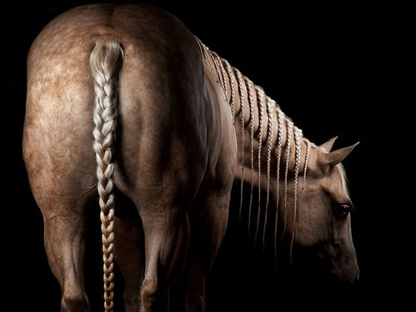 Literalmente… animales trenzas de moda (Fotos)