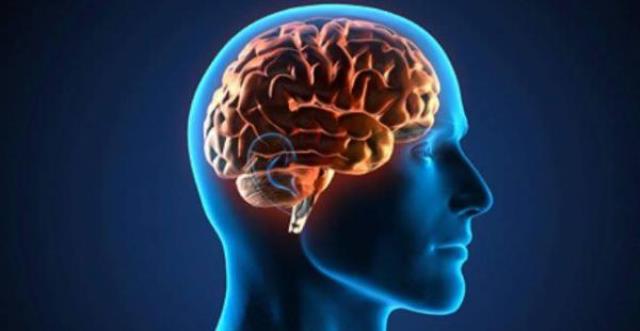 Científicos se acercan a la creación del cerebro biónico