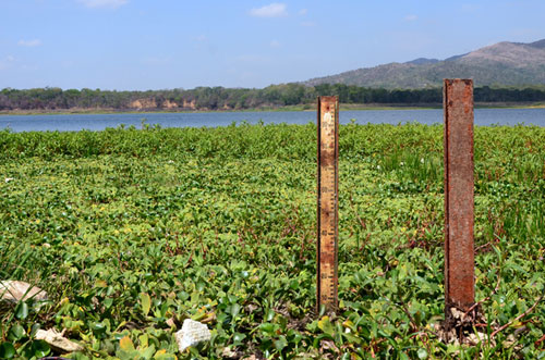 Aseguran que reservorios de agua mantienen parámetros normales