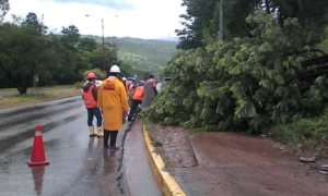 Deslaves y derrumbes afectan vialidad en Táchira