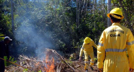 Incendio arrasa 500 hectáreas en zona forestal de Cuba