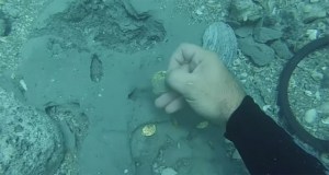 Quien fuera este buzo… el preciso instante cuando descubre un inmenso tesoro (VIDEO)
