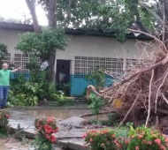 Zulia no se salvó: Lluvias y fuertes vientos azotaron al municipio Catatumbo