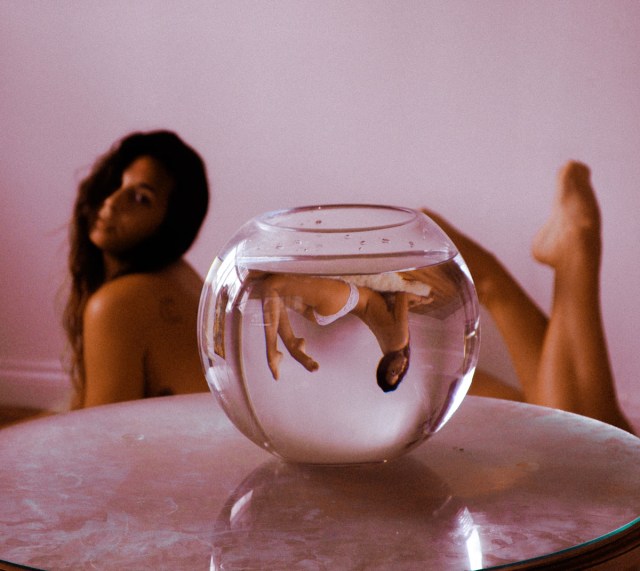 Dana Trippe by Dana Trippe (1)