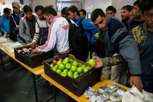 Programa de alimentos de la ONU dice que no puede cubrir necesidades de refugiados sirios