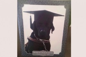 Una perra se graduó en un universidad de España…¡Entérate por qué! (Foto)