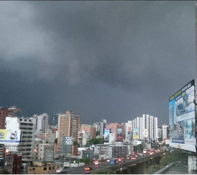 Lluvias con tormentas dejan árboles caídos en Caracas #18Oct  (Fotos)