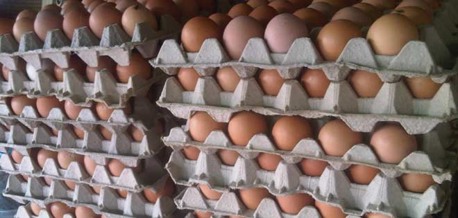 Makro: Hemos distribuido más de 3 millones de huevos