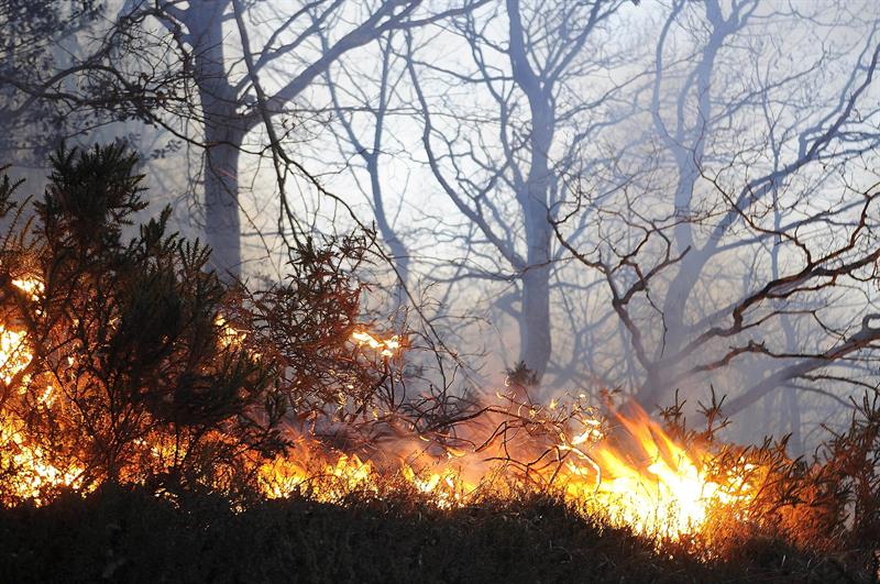 Perú declaró en emergencia a siete distritos afectados por incendios forestales