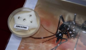 Perú confirma segundo caso importado de zika procedente de Venezuela