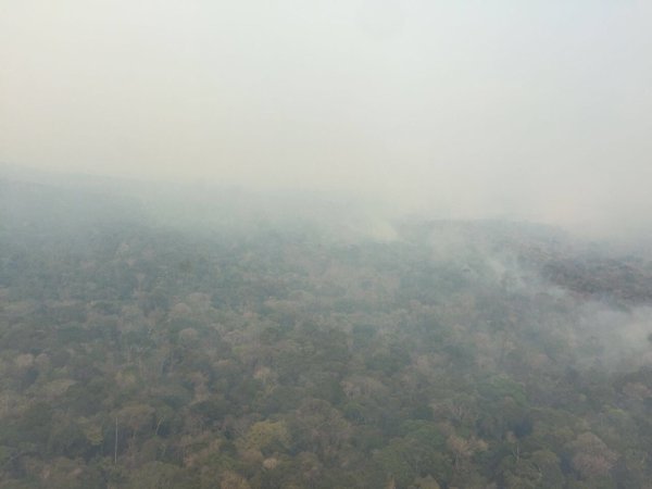 Parque Nacional Canaima también sufre por incendios