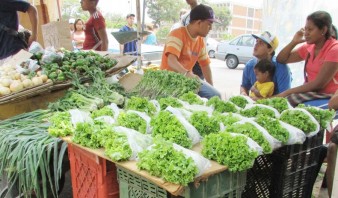 Hortalizas y verduras suben de precio de un día para otro en Puerto La Cruz